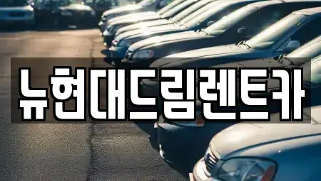 서울 금천구 독산동 렌트카 전문 뉴현대드림렌트카