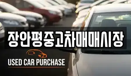 서울 금천구 독산동 중고차 전문 장안평중고차매매시장