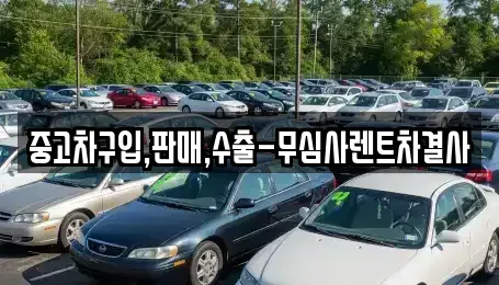 서울 금천구 독산동 중고차 전문 중고차구입,판매,수출-무심사렌트차결사