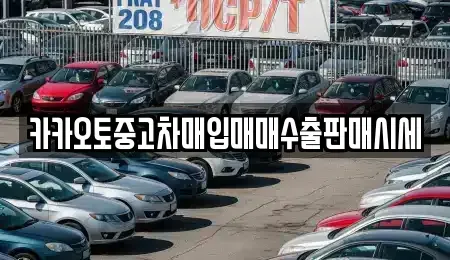 서울 금천구 독산동 중고차매입 전문 카카오토중고차매입매매수출판매시세