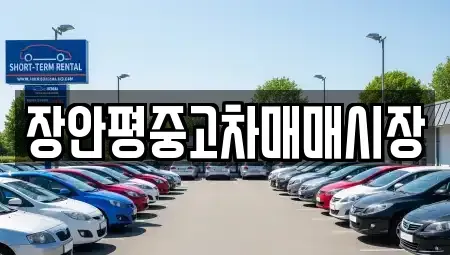 서울 노원구 중계동 중고차 전문 장안평중고차매매시장