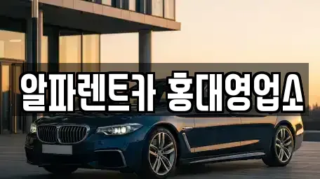 서울 마포구 동교동 렌트카 전문 알파렌트카 홍대영업소