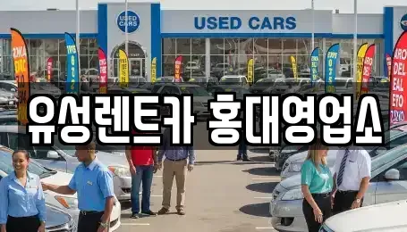 서울 마포구 동교동 렌트카 전문 유성렌트카 홍대영업소