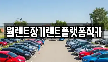 서울 마포구 동교동 장기렌트카 전문 월렌트장기렌트플랫폼직카