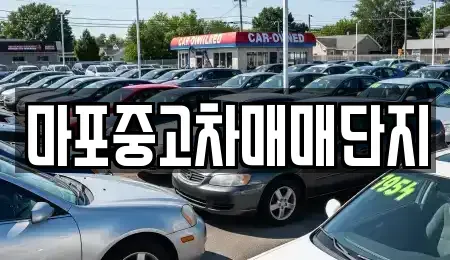 서울 마포구 동교동 중고차 전문 마포중고차매매단지