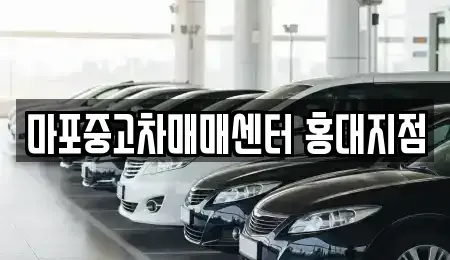 서울 마포구 동교동 중고차매매 전문 마포중고차매매센터 홍대지점