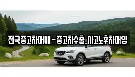 서울 마포구 동교동 중고차매입 전문 전국중고차매매-중고차수출,사고노후차매입