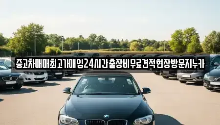 서울 마포구 동교동 중고차매입 전문 중고차매매최고가매입24시간출장비무료견적현장방문지누카