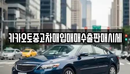 서울 마포구 동교동 중고차매입 전문 카카오토중고차매입매매수출판매시세