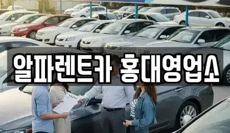 서울 마포구 렌트카 전문 알파렌트카 홍대영업소