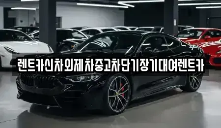 서울 마포구 신공덕동 단기렌트카 전문 렌트카신차외제차중고차단기장기대여렌트카