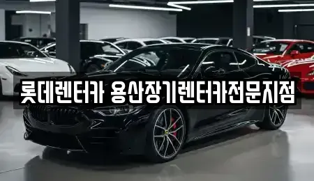 서울 마포구 신공덕동 장기렌트카 전문 롯데렌터카 용산장기렌터카전문지점