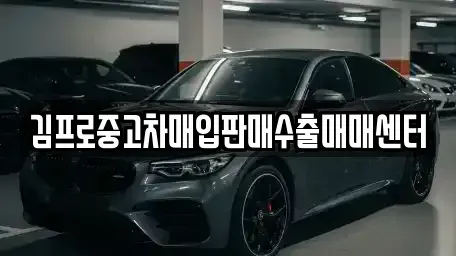 서울 마포구 신공덕동 중고차매입 전문 김프로중고차매입판매수출매매센터