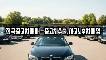 서울 마포구 신공덕동 중고차매입 전문 전국중고차매매-중고차수출,사고노후차매입