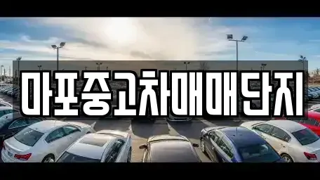서울 마포구 중고차 전문 마포중고차매매단지