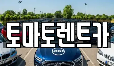 서울 서대문구 북가좌동 렌트카 전문 토마토렌트카
