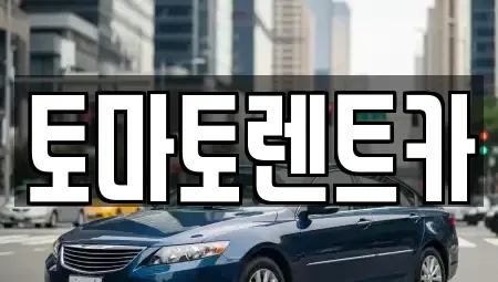 서울 서대문구 북가좌동 렌트카 전문 토마토렌트카