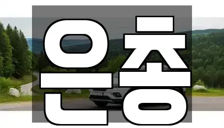 서울 서대문구 중고차 전문 은총