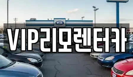서울 성동구 금호동4가 단기렌트카 전문 VIP리모렌터카