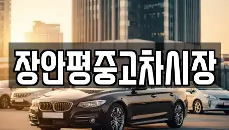 서울 성동구 금호동4가 중고차 전문 장안평중고차시장