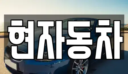 서울 성동구 금호동4가 중고차 전문 현자동차