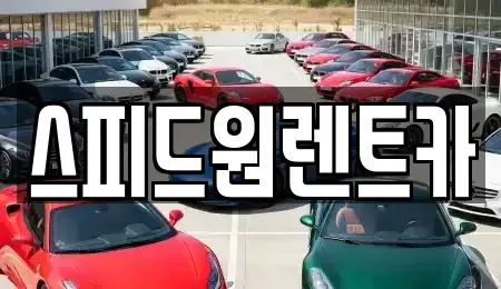 서울 송파구 삼전동 렌트카 전문 스피드원렌트카