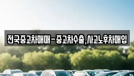 서울 송파구 삼전동 중고차매매 전문 전국중고차매매-중고차수출,사고노후차매입