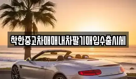 서울 송파구 삼전동 중고차매매 전문 착한중고차매매내차팔기매입수출시세