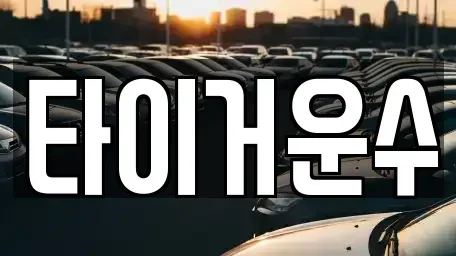 서울 송파구 석촌동 단기렌트카 전문 타이거운수