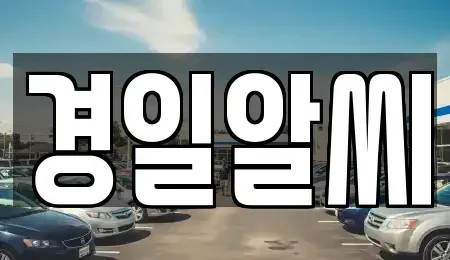 서울 송파구 석촌동 렌트카 전문 경일알씨