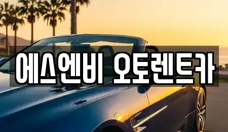 서울 송파구 석촌동 렌트카 전문 에스엔비 오토렌트카