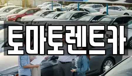 서울 송파구 석촌동 장기렌트카 전문 토마토렌트카