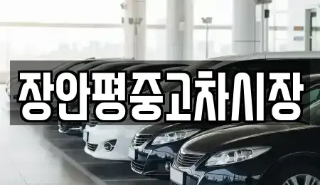 서울 송파구 석촌동 중고차 전문 장안평중고차시장