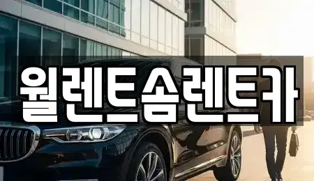 서울 송파구 신천동 렌트카 전문 월렌트솜렌트카
