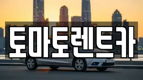 서울 송파구 신천동 렌트카 전문 토마토렌트카