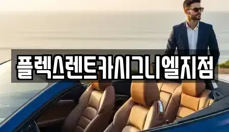 서울 송파구 신천동 렌트카 전문 플렉스렌트카시그니엘지점