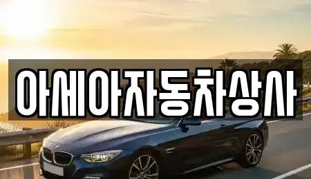 서울 송파구 신천동 중고차매매 전문 아세아자동차상사