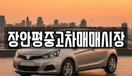 서울 송파구 신천동 중고차매매 전문 장안평중고차매매시장