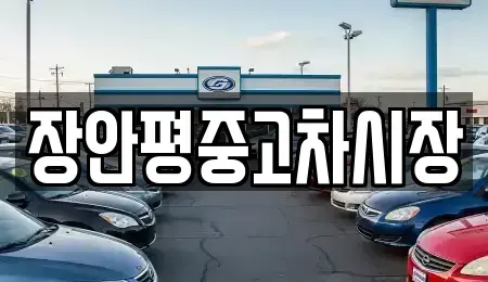 서울 송파구 신천동 중고차매매 전문 장안평중고차시장