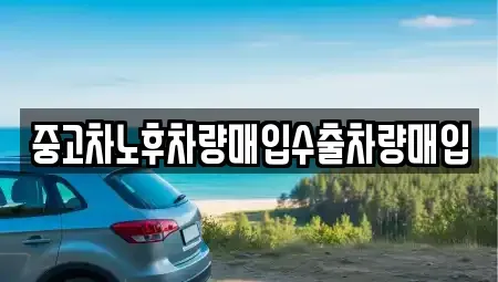 서울 송파구 신천동 중고차매입 전문 중고차노후차량매입수출차량매입