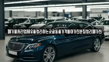 서울 송파구 신천동 중고차매입 전문 폐기물처리업체유품정리하는곳골동품가격돌아가신분집정리폐가전