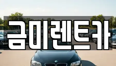 서울 양천구 단기렌트카 전문 금미렌트카