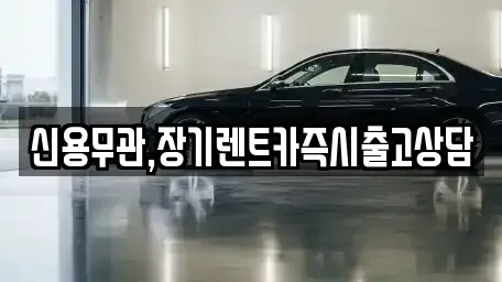 서울 양천구 장기렌트카 전문 신용무관,장기렌트카즉시출고상담