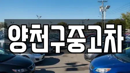 서울 양천구 중고차 전문 양천구중고차