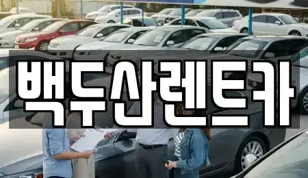 서울 영등포구 당산동 렌트카 전문 백두산렌트카