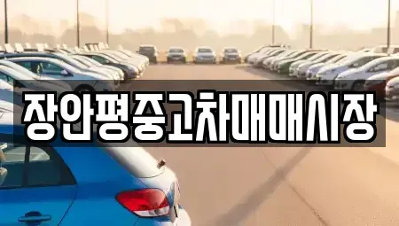 서울 영등포구 당산동 중고차 전문 장안평중고차매매시장
