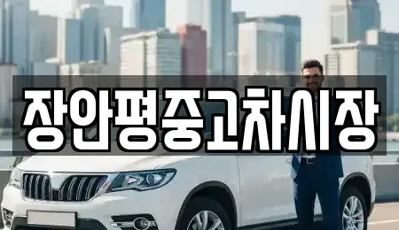 서울 영등포구 당산동 중고차 전문 장안평중고차시장