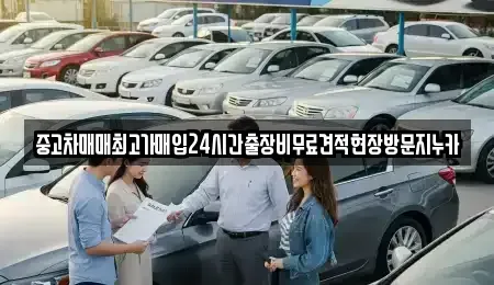 서울 영등포구 당산동 중고차매입 전문 중고차매매최고가매입24시간출장비무료견적현장방문지누카