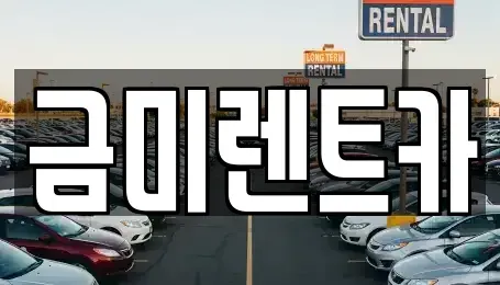 서울 영등포구 당산동4가 렌트카 전문 금미렌트카