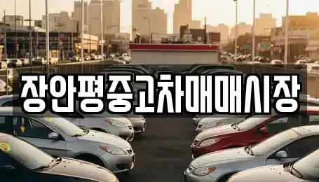 서울 영등포구 당산동4가 중고차매매 전문 장안평중고차매매시장
